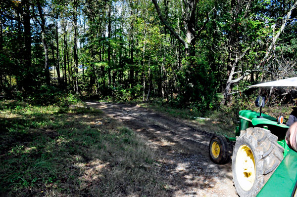 hayride view at Hall Family Farm