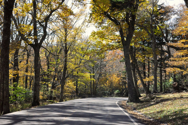 a small road