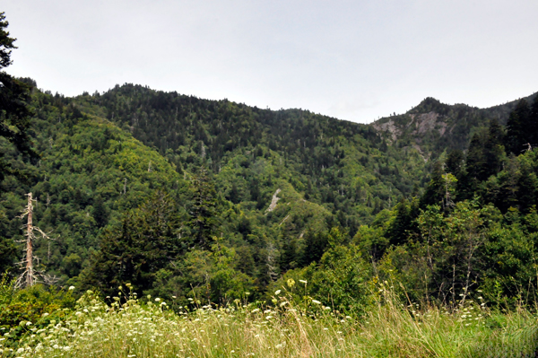 mountains in Great Smoky Mountains National Park
