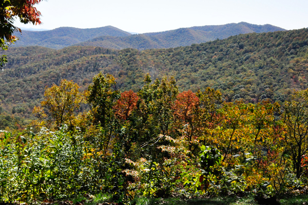 fall colors on the Blue Ridge Parkway