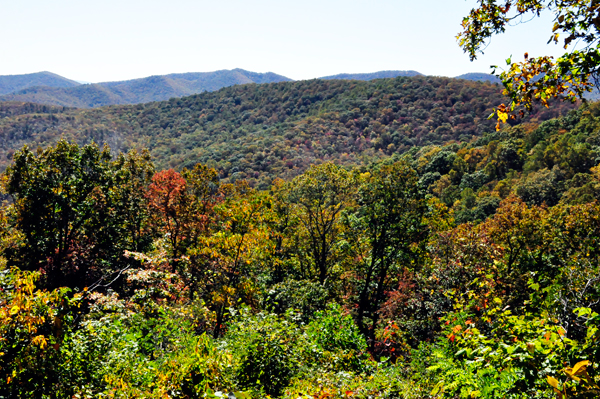 fall colors on the Blue Ridge Parkway