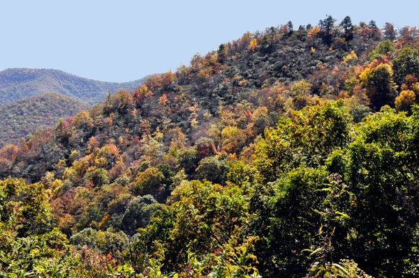 fall colors on the Blue Ridge Parkway
