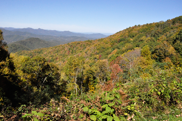 fall colors on the Blue Ridge Parkway