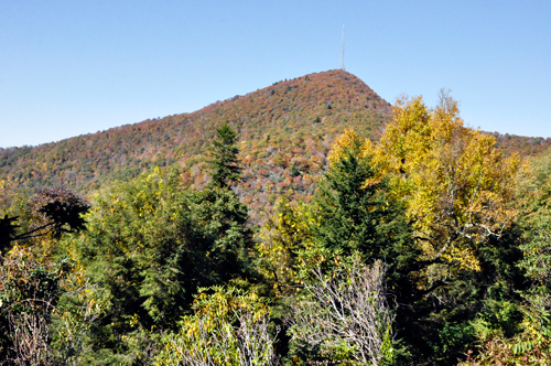 fall colors on the Blue Ridge Parkway