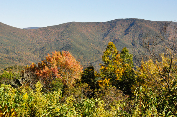 fall colors on the Blue Ridge Parkway