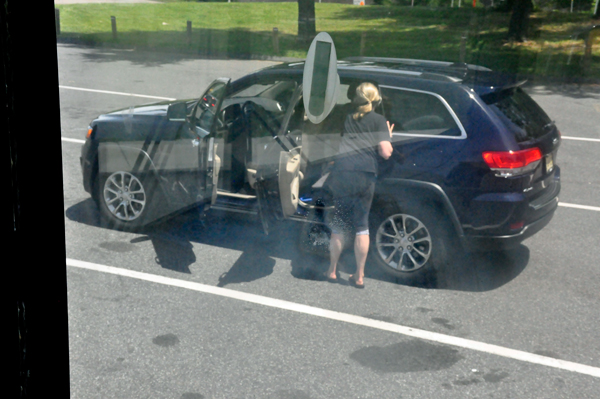 rude driver and her dog