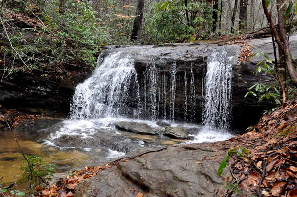 Wildcat Wayside Waterfall