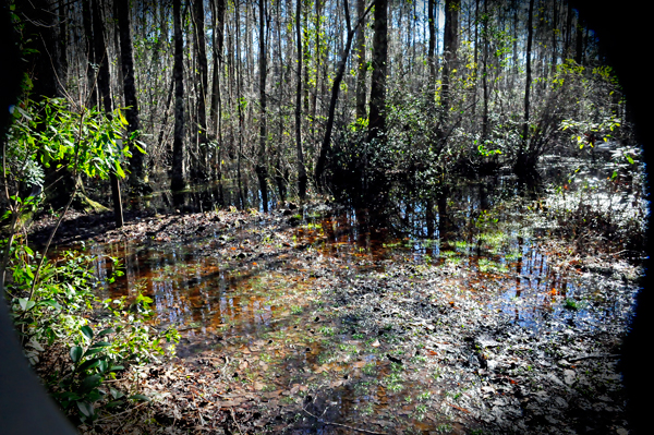 flooded hiking trail