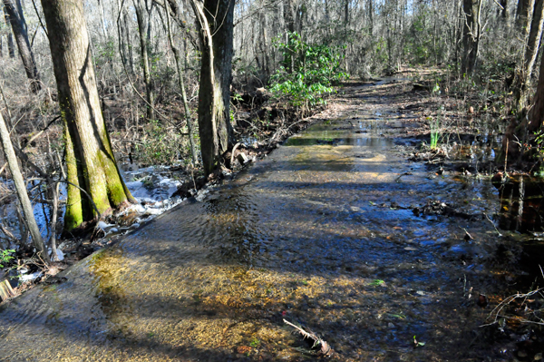 the water flowing across the hiking trail