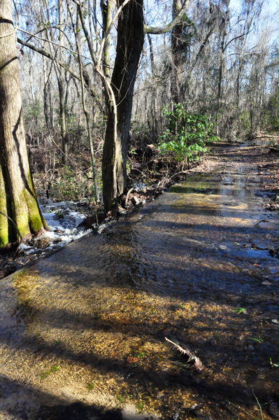 the water flowing across the hiking trail