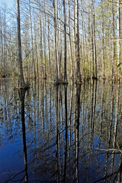 view of the dark waters and reflections