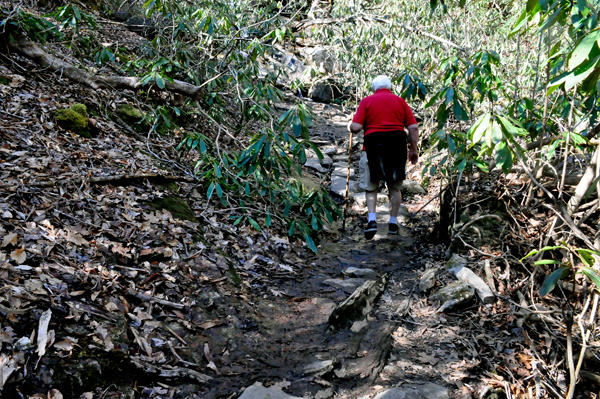 Jones Gap hiking trail