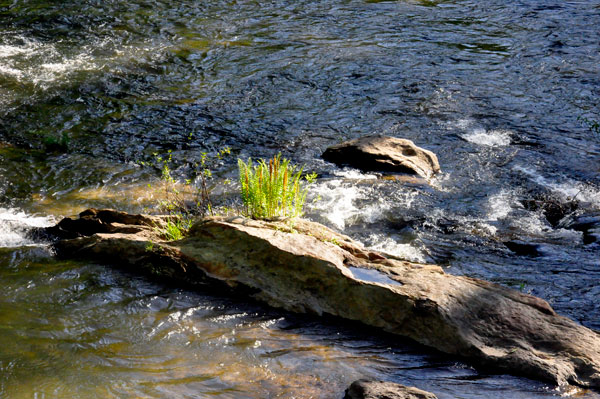 Toccoa River