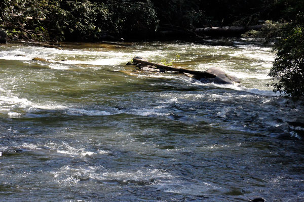Toccoa River