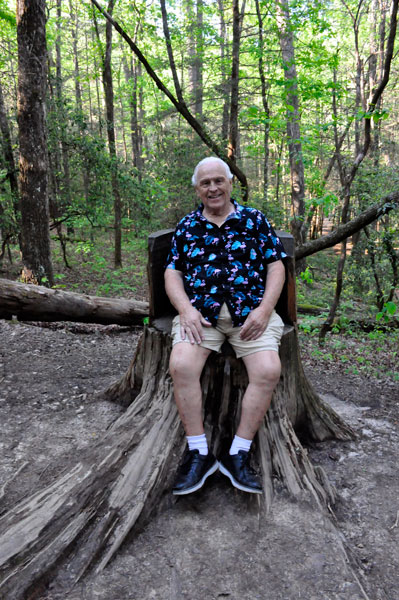 Tree Stump Chair