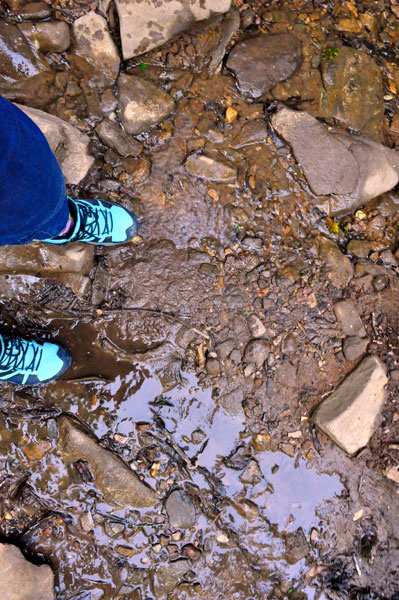 shallow water and mud