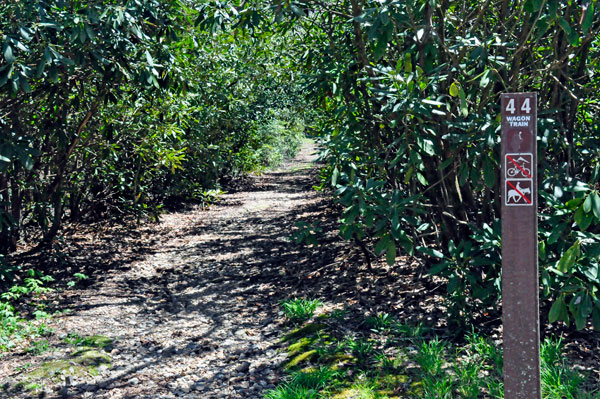 The Wagon Train Trail