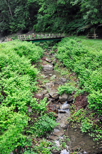 View from the road at Cathedral Falls