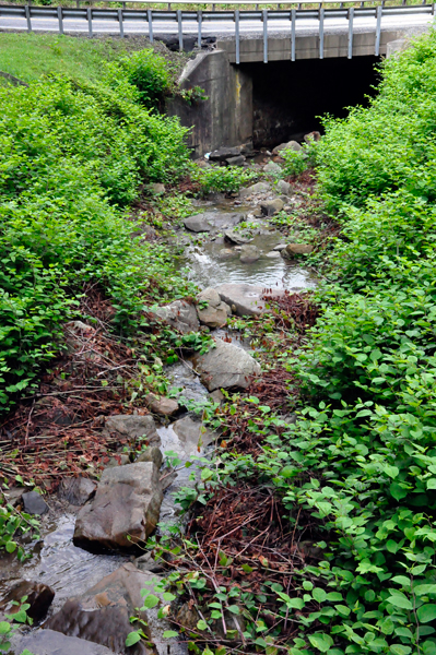 View from the road at Cathedral Falls