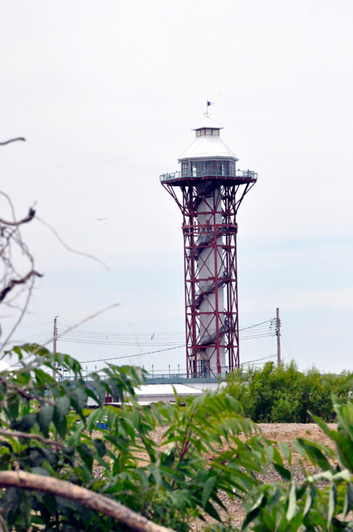 View of the Bicentenial Tower from Port Erie