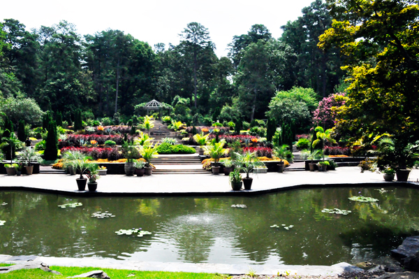 Frances P. Rollins Overlook and pond
