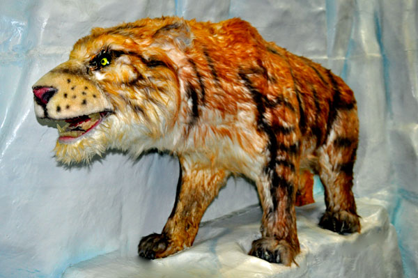 Sabertooth tiger 