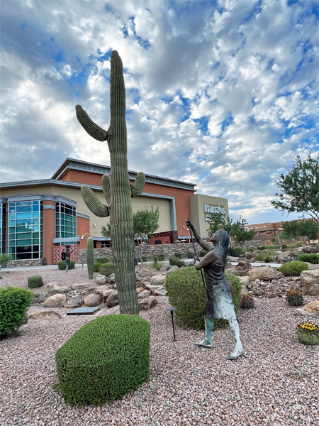 Indian lady and cactus