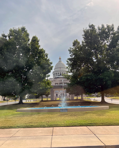Looking back at the Capitol Building