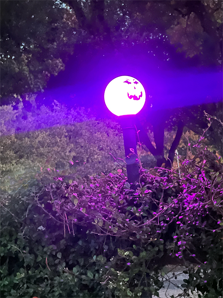 pumpkin light pole