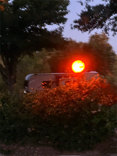 pumpkin light pole 