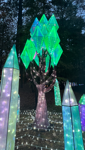 ligjt display near Pu Lao dragon