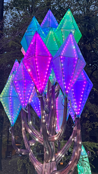 ligjt display near Pu Lao dragon