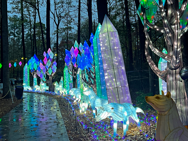 Crystal Forest display