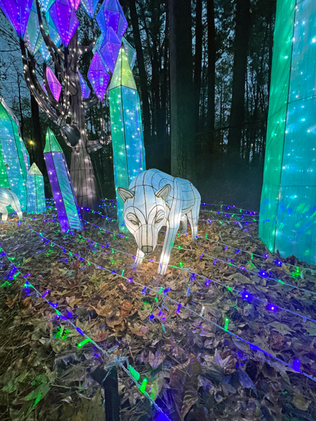 Crystal Forest display