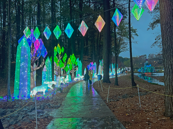 Crystal Forest display
