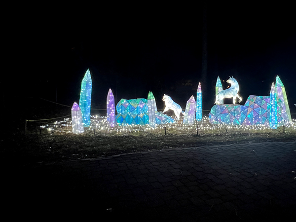 Crystal Forest display