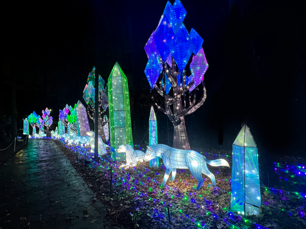 Crystal Forest display