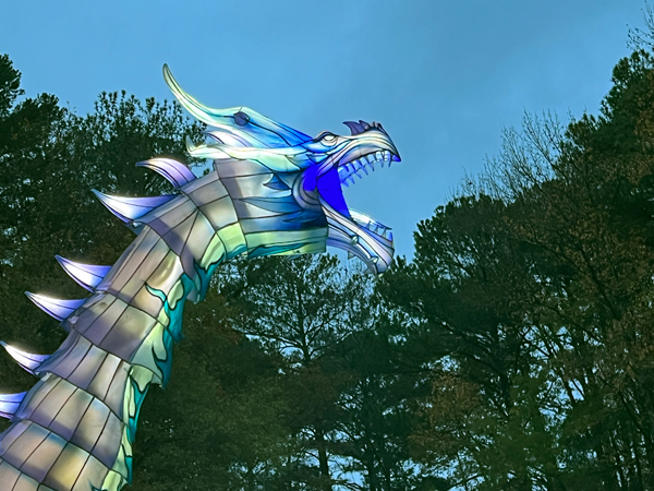 Ice Dragon