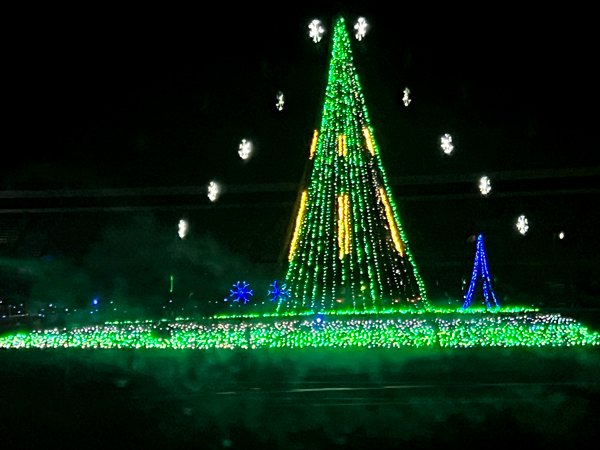Christmas tree with changing lights