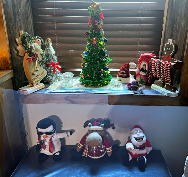 the Christmas tree