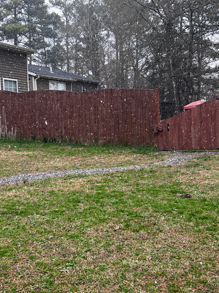snow in South Carolina