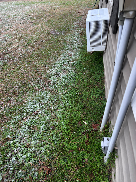 snow in South Carolina