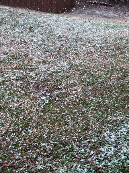 snow in South Carolina