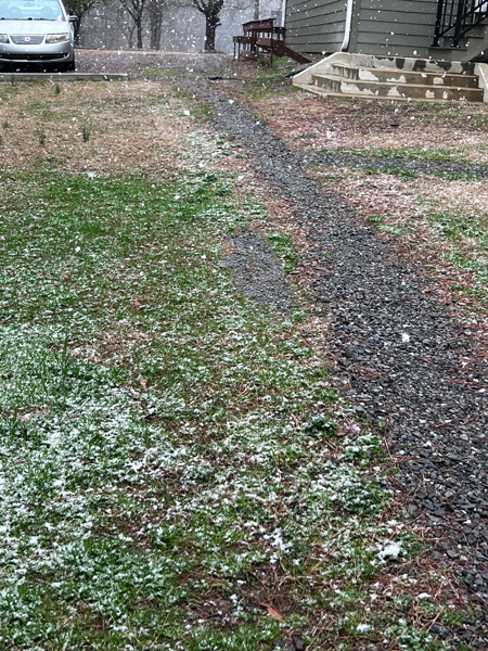 snow in South Carolina