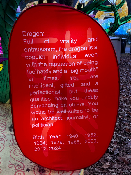 Zodiac sign for Dragon