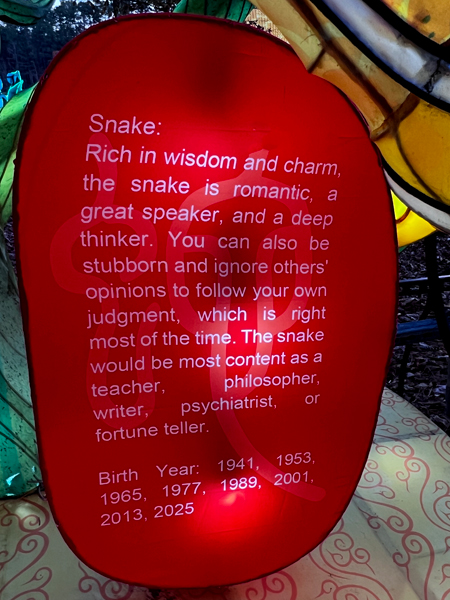 Zodiac sign for Snake