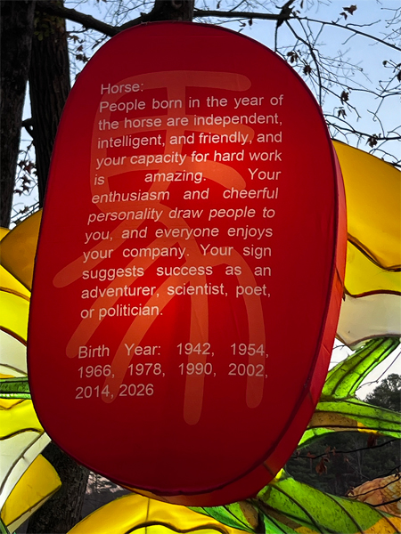 Zodiac sign for Horse