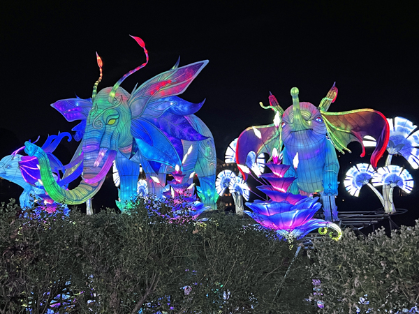 Elephants