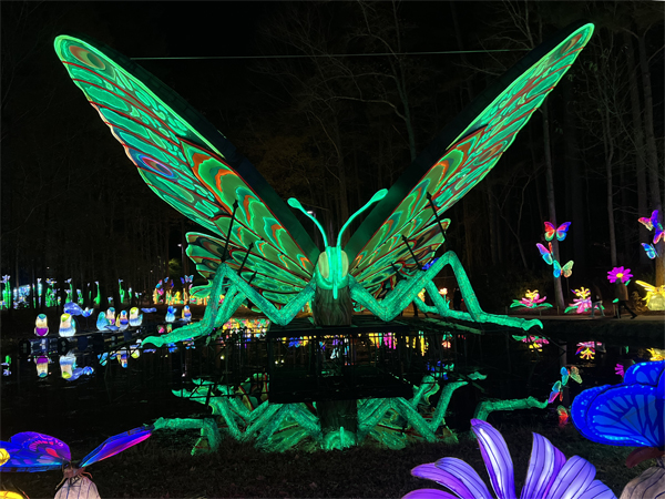Big Butterfly with reflection in wate