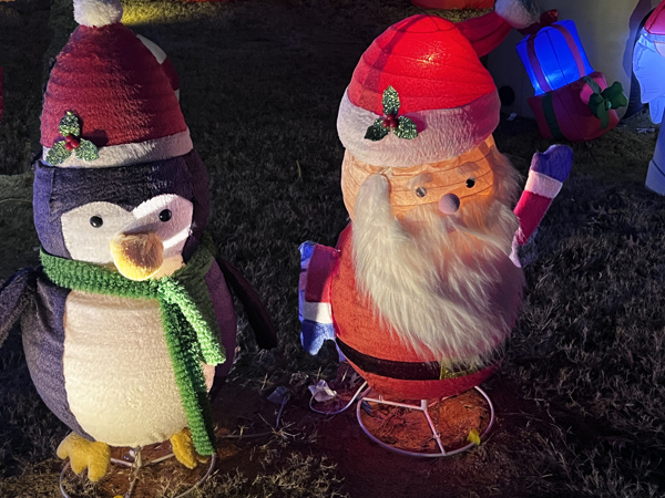 Penguin and Santa